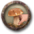 Job picking mushrooms.png