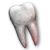 Kit carsons tooth.png