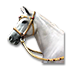 Sale 2018 horse 1.png