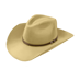 Dayofthedead 2015 hat2.png