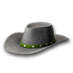 Stetson green.png