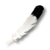 Datei:Eagle feather.png