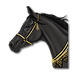 Blackfriday horse.png