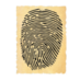 Fingerprint2 50175.png