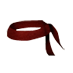 Geronimo headband.png