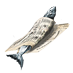 Datei:Paperfish.png