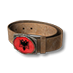 Belt country albania 2016.png