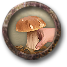 Datei:Job picking mushrooms.png