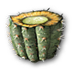 Datei:Cactus.png