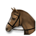 Datei:Pony.png