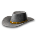 Stetson yellow.png