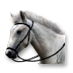 Proworker horse.png