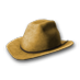 Cowboy hat yellow.png
