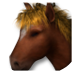 Datei:Young stallion.png