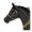 Blackfriday horse.png