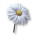 Peaceflower.png